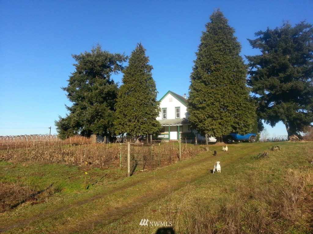 1716 East Pole Road Everson, WA 98247 - Photo 9 of 20 Gallery Image 9