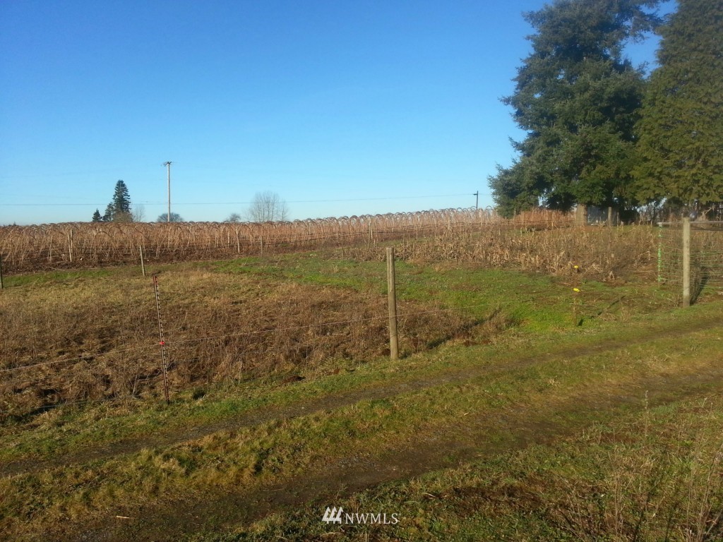 1716 East Pole Road Everson, WA 98247 - Photo 10 of 20 Gallery Image 10