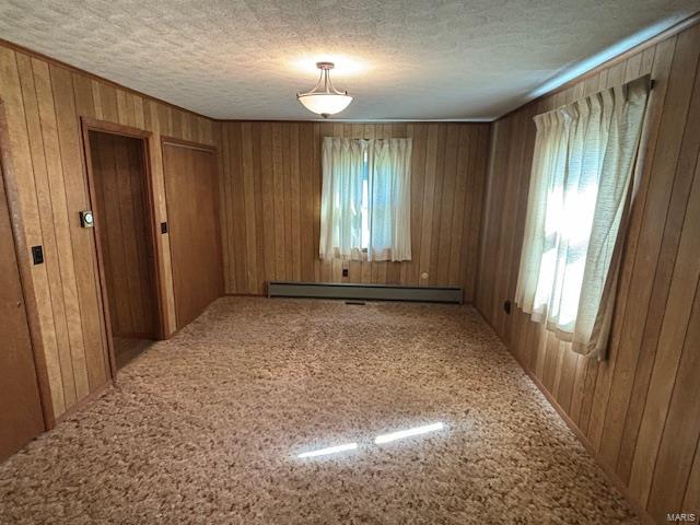 12710 Crackerneck Road Trenton, IL 62293 - Photo 11 of 14 Gallery Image 11