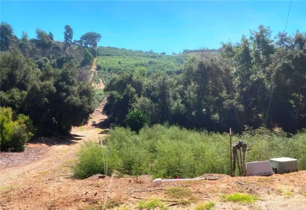 $1,576,000 | 16 Sandia Creek Drive, Temecula, CA 92592