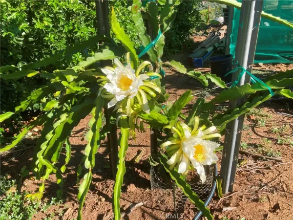 $1,576,000 | 16 Sandia Creek Drive, Temecula, CA 92592