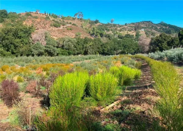 $1,576,000 | 16 Sandia Creek Drive, Temecula, CA 92592