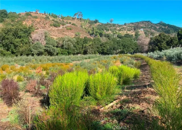 a view of a lake with a mountain in the background