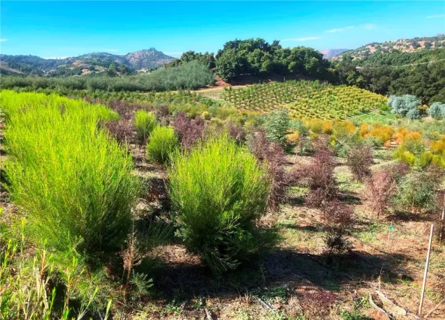 a view of lake with green space