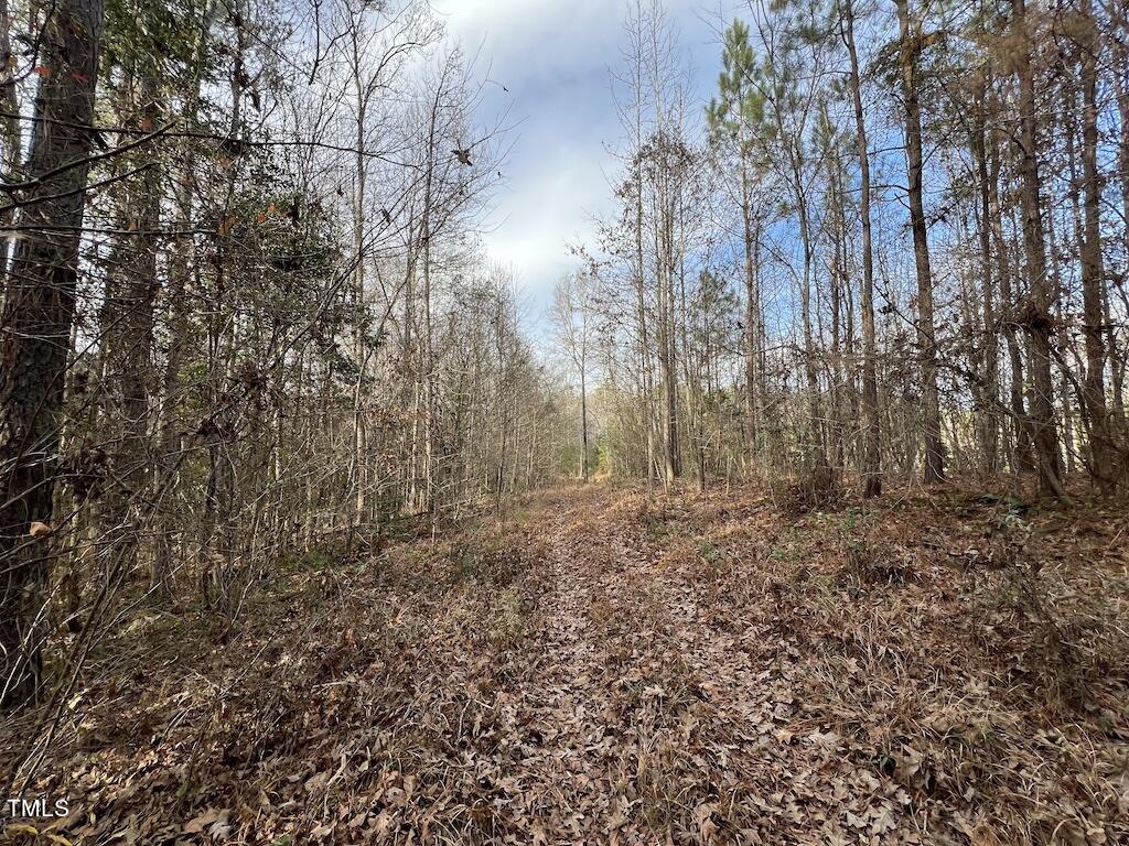 9 Peachtree Hills Road Spring Hope, NC 27882 - Photo 20 of 25 20