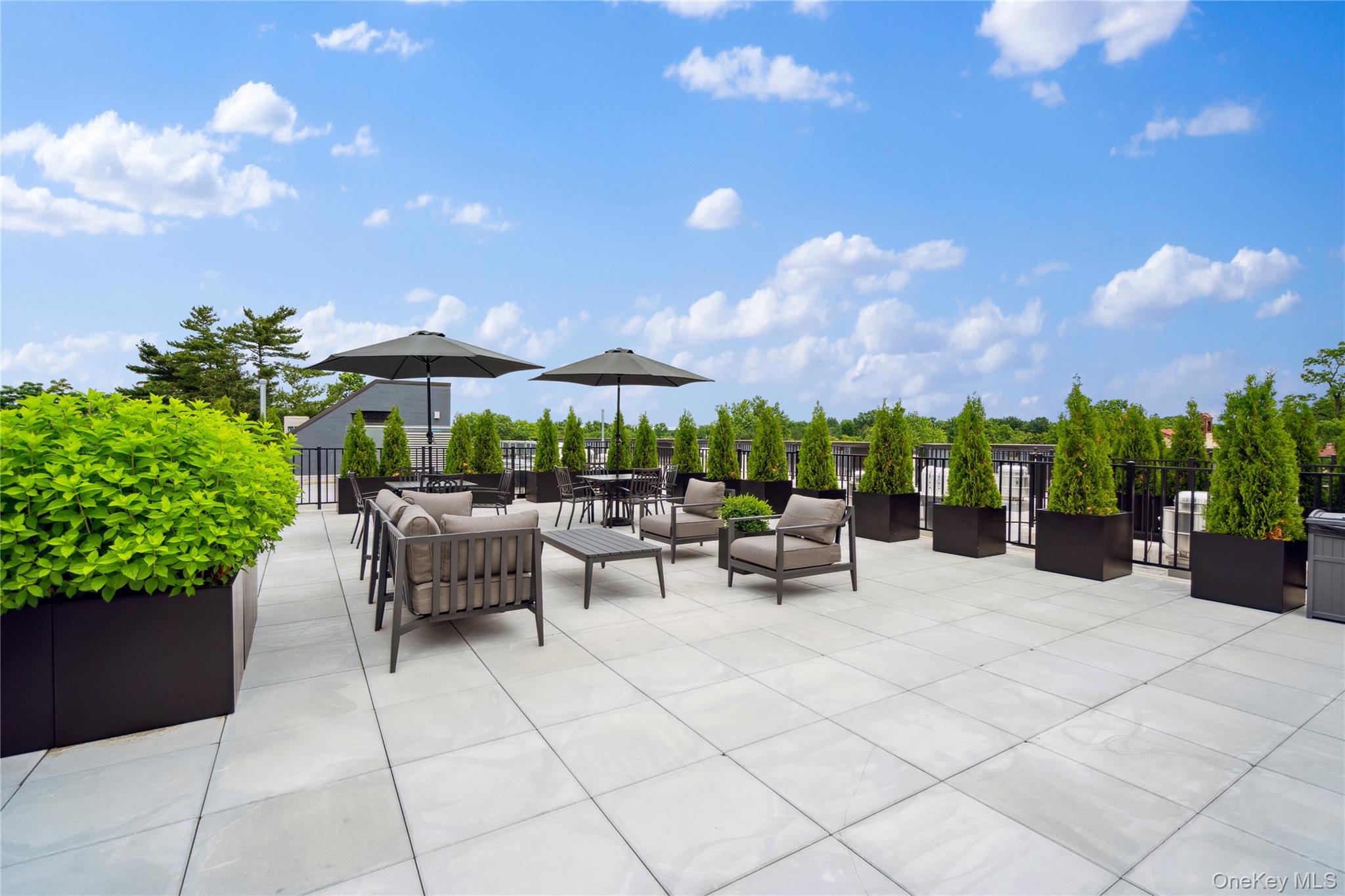 218 Middle Neck Road, Unit 302 Great Neck, NY 11021 - Photo 10 of 30 View of patio