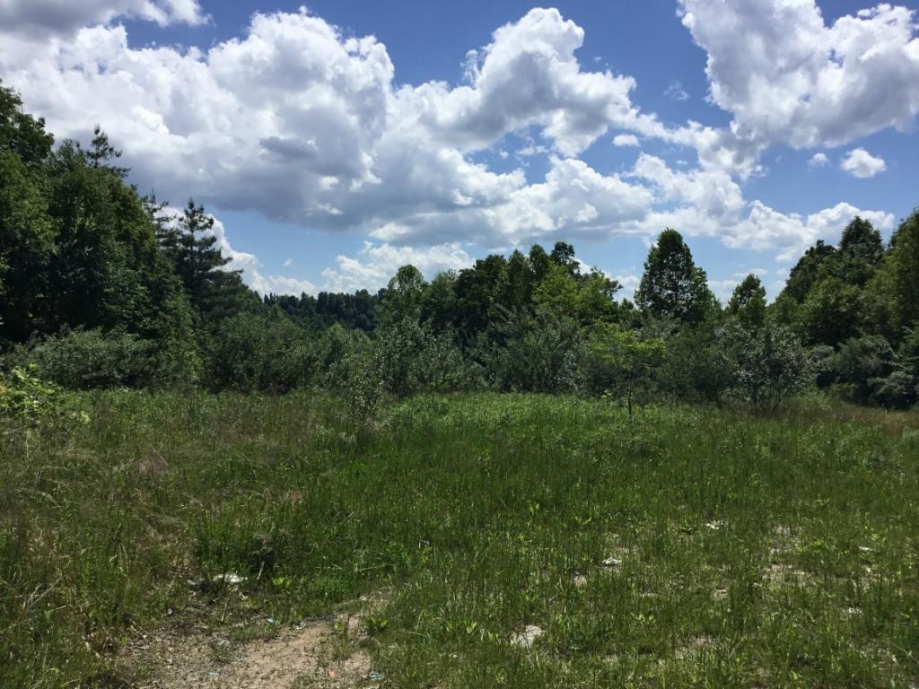 Tbd Rock Switch Road Wise, VA 24293 - Photo 1 of 2 Photo 1