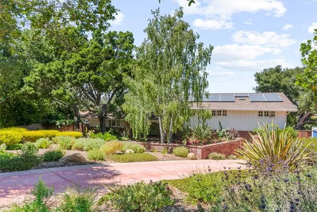 a view of backyard with a garden and plants