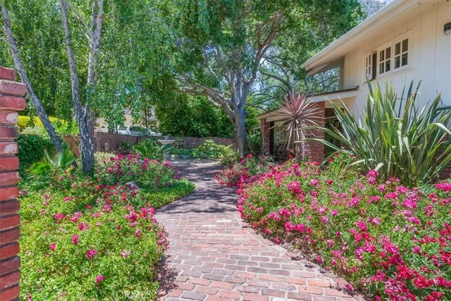 a view of a garden with flowers and flowers