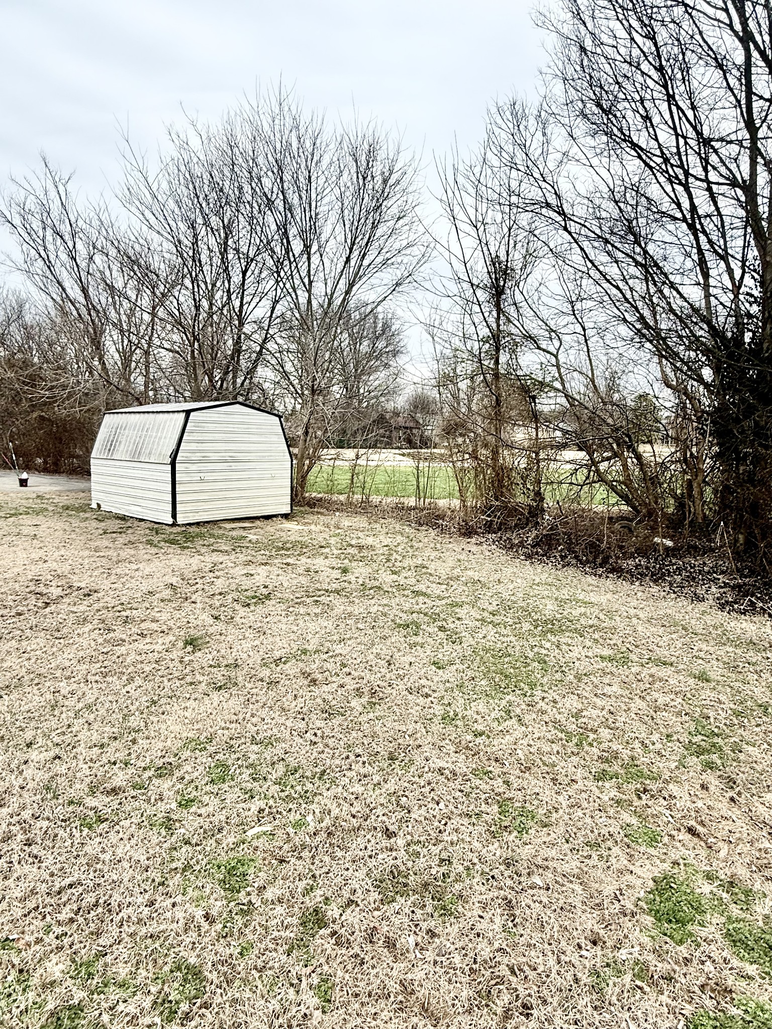 141 Main Street Gracey, KY 42232 - Photo 16 of 16 a view of a backyard