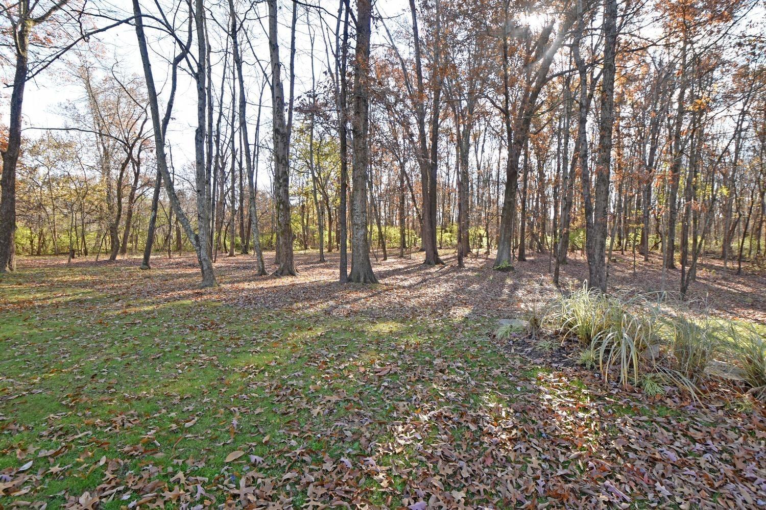 10241 Carter-Howell Road Blanchester, OH 45107 - Photo 39 of 46 Gallery Image 39