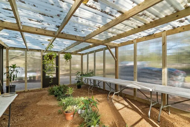 a view of a yard with large trees