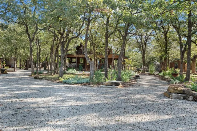 a view of a park that has large trees