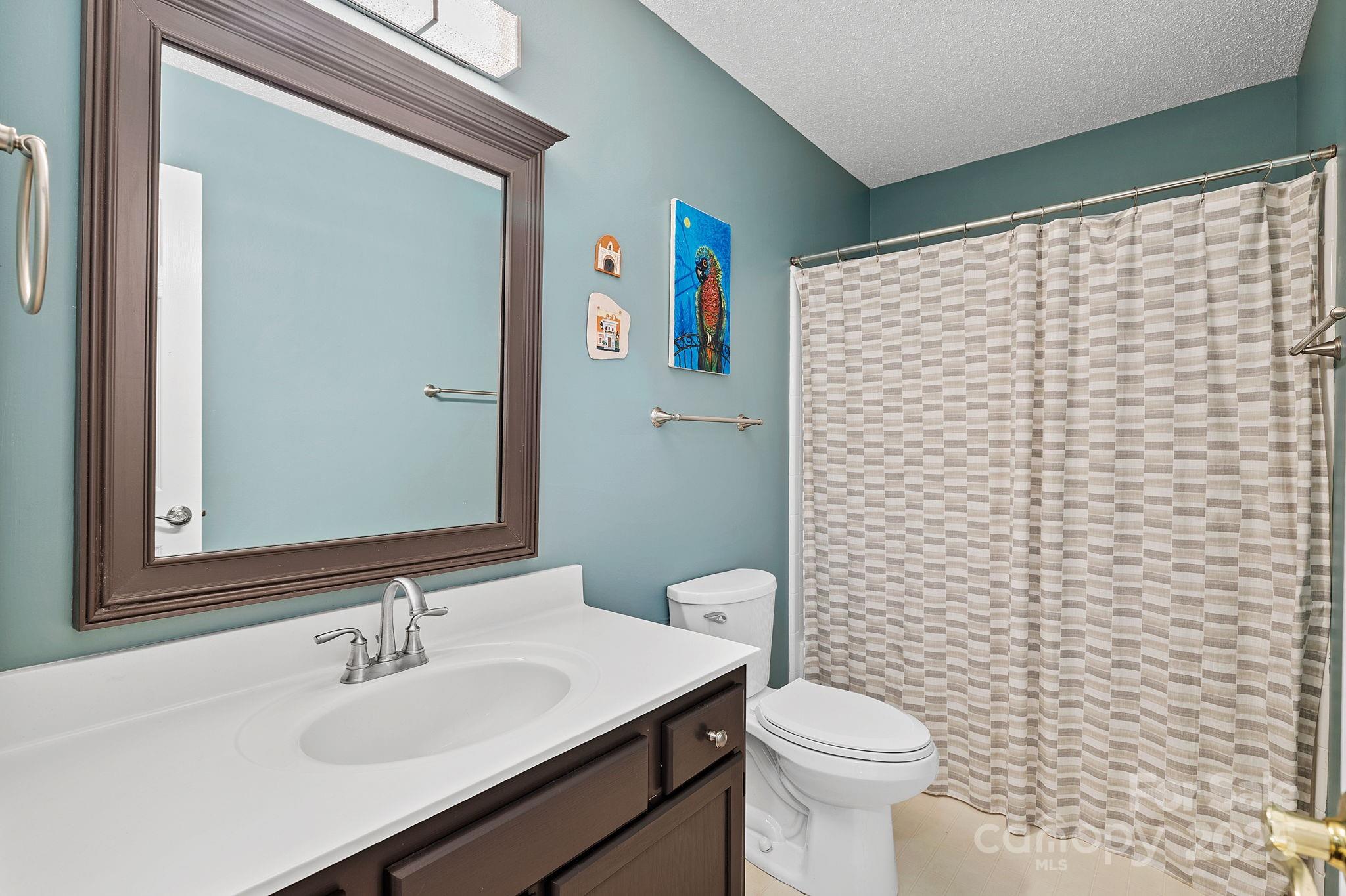 28 Sand Pebble Court Fletcher, NC 28732 - Photo 23 of 35 a bathroom with a sink a toilet and mirror