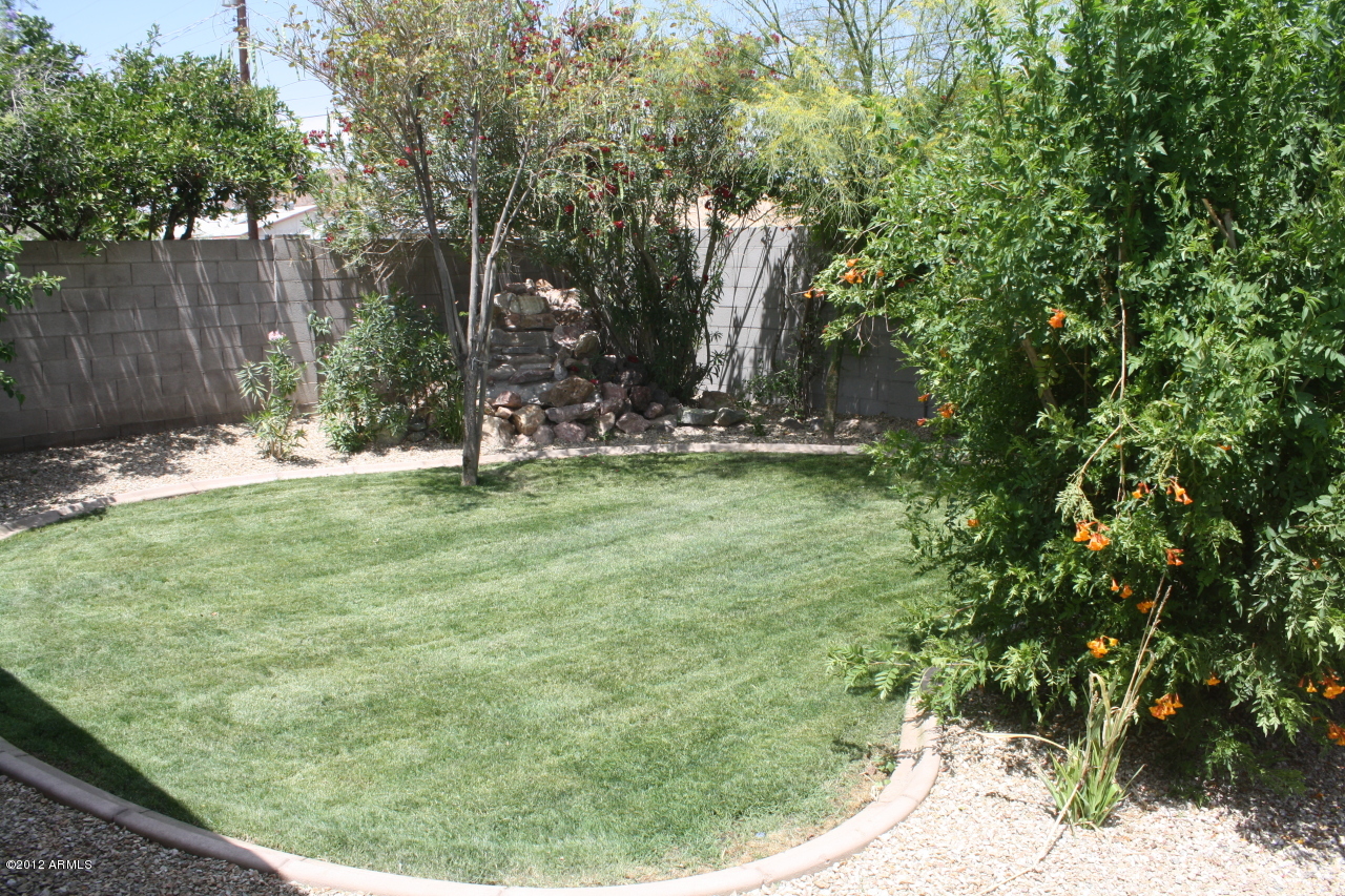 36 East Fillmore Street Tempe, AZ 85288 - Photo 11 of 13 backyard1
