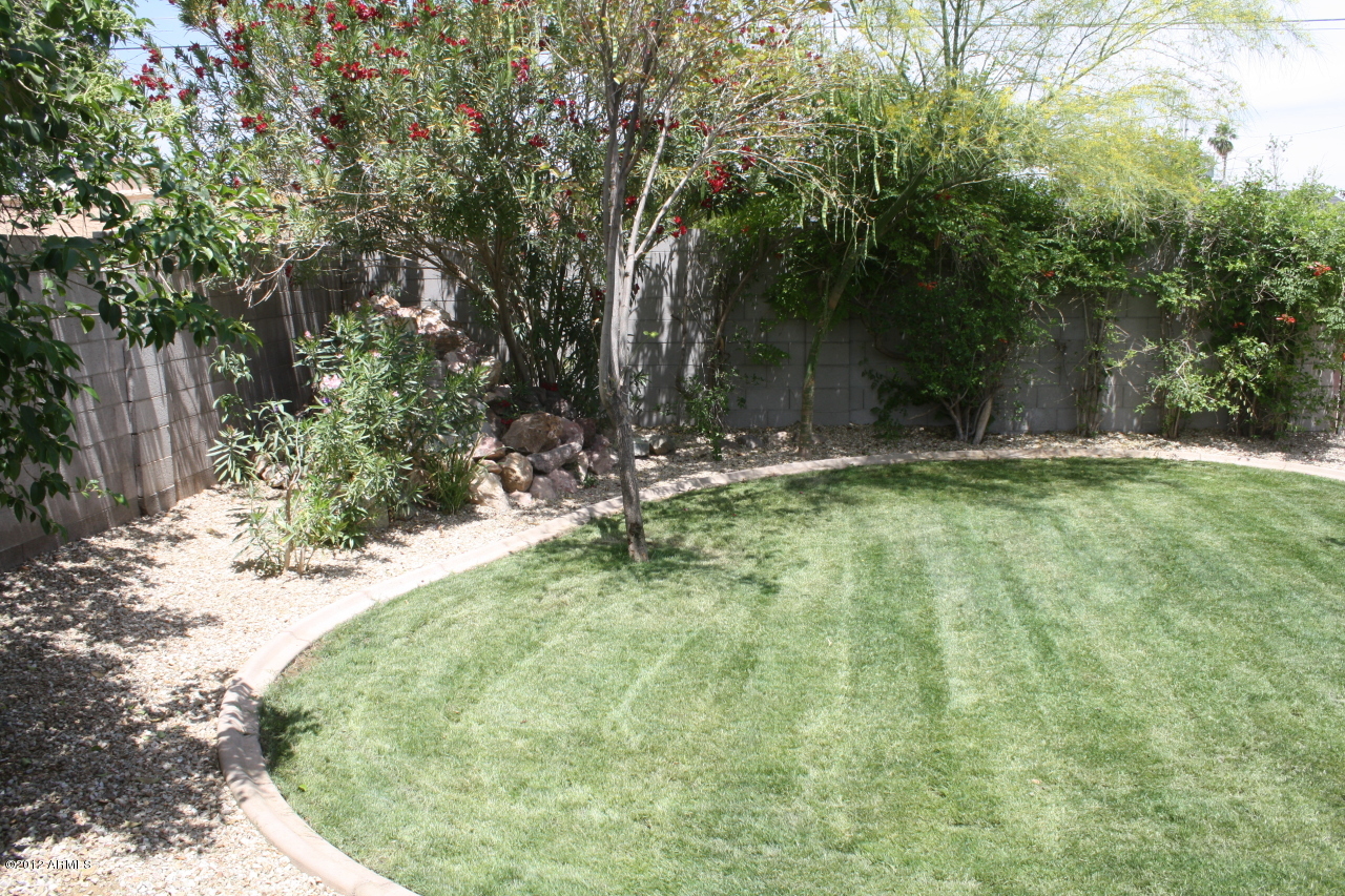 36 East Fillmore Street Tempe, AZ 85288 - Photo 10 of 13 backyard