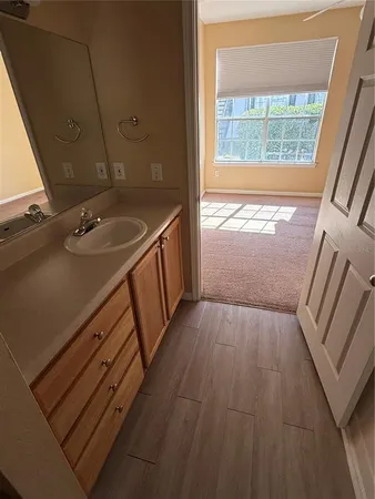 a bathroom with a sink a mirror and a shower