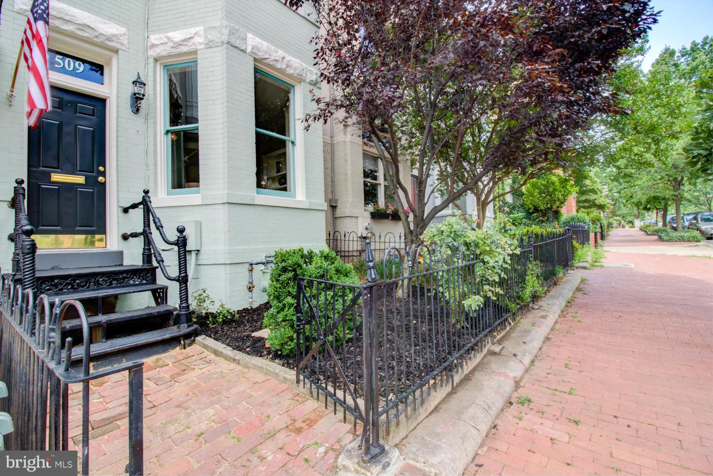 509 6th Street Northeast Washington, DC 20002 - Photo 2 of 30 a view of a potted plants on a sidewalk