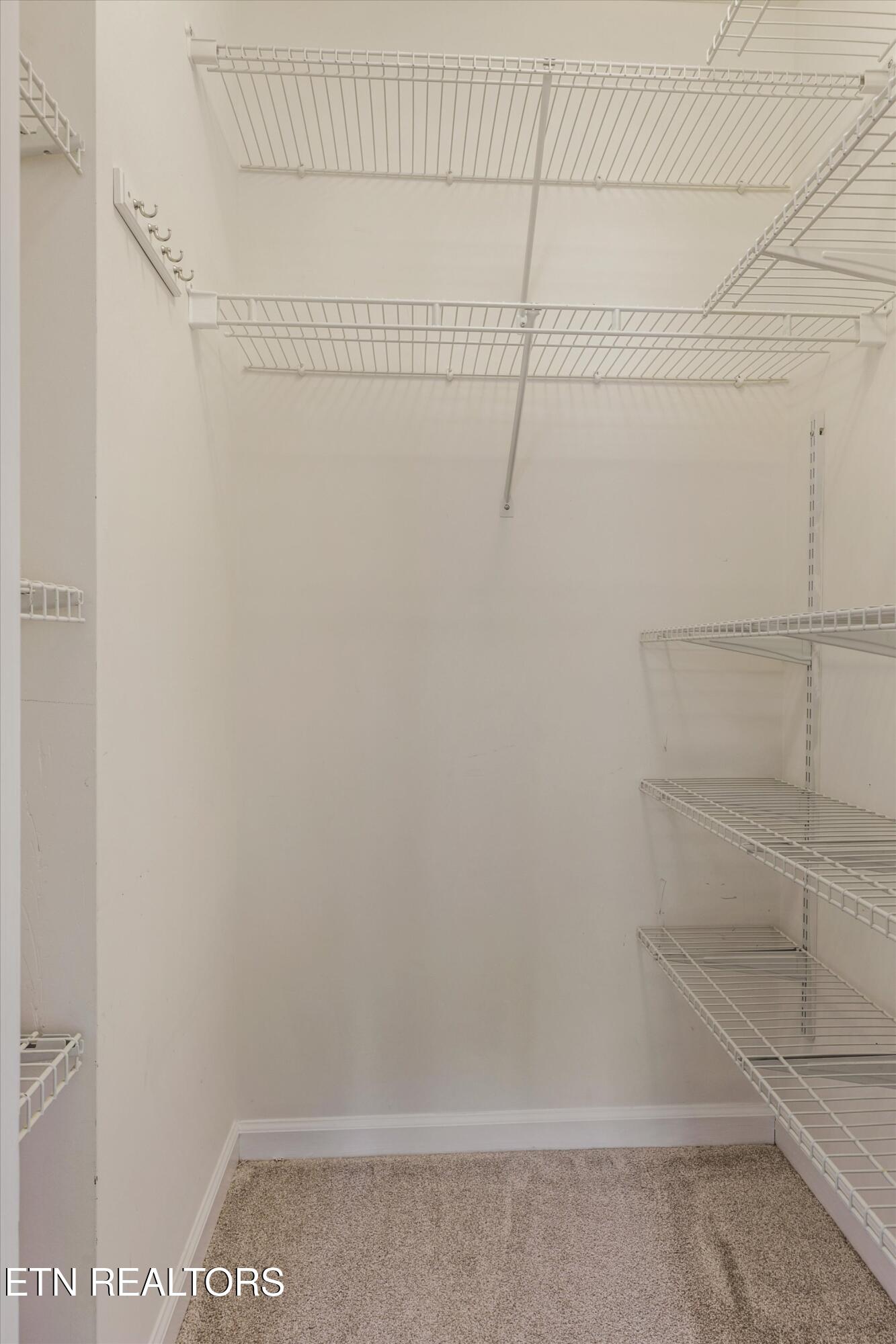 8218 Jack Russell Court Powell, TN 37849 - Photo 26 of 38 Walk-in Closet