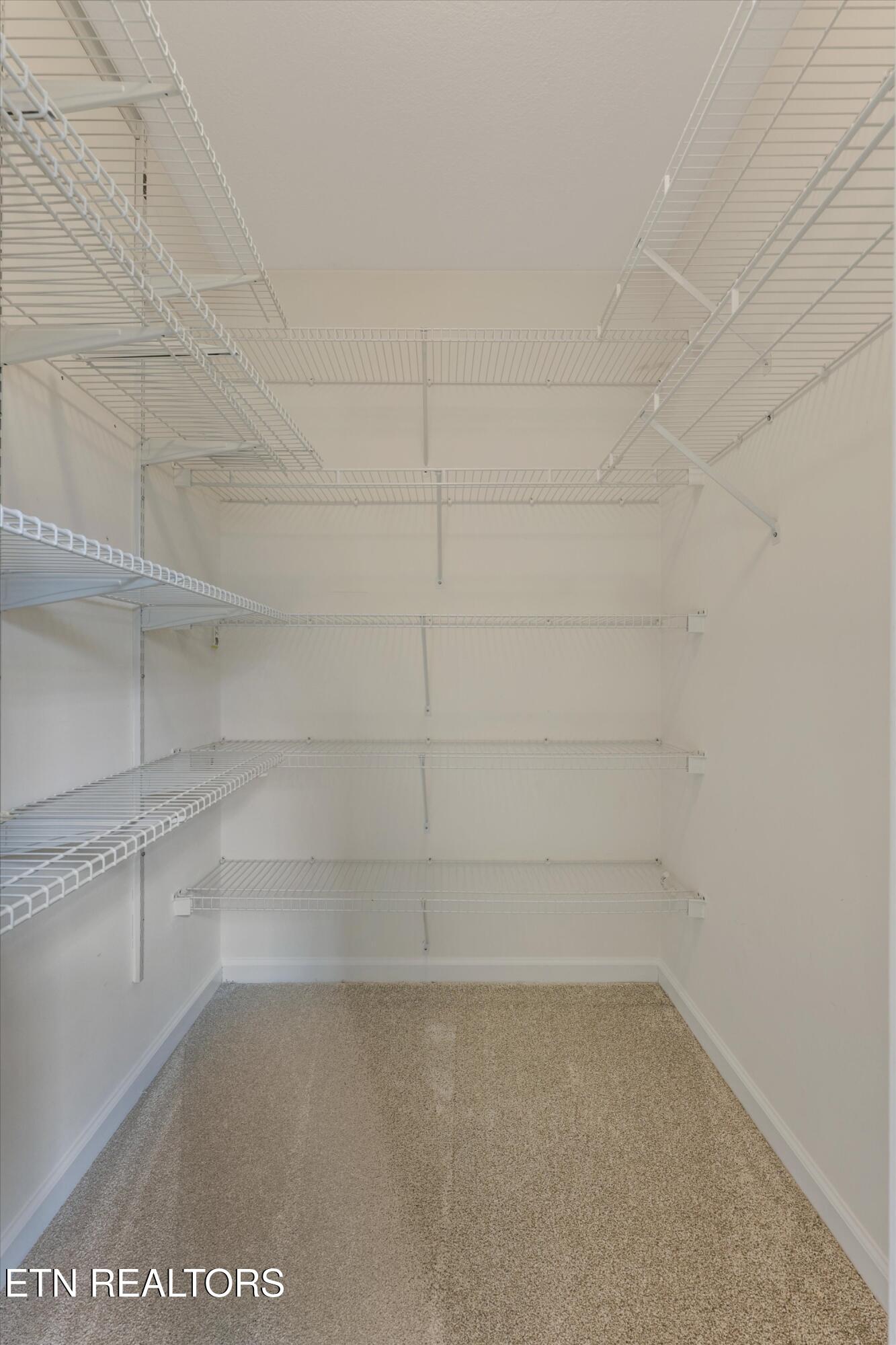 8218 Jack Russell Court Powell, TN 37849 - Photo 29 of 38 Walk-in Closet
