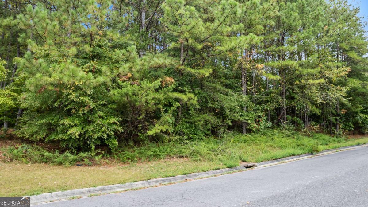0 Scenic Trace Northwest Rome, GA 30165 - Photo 1 of 6