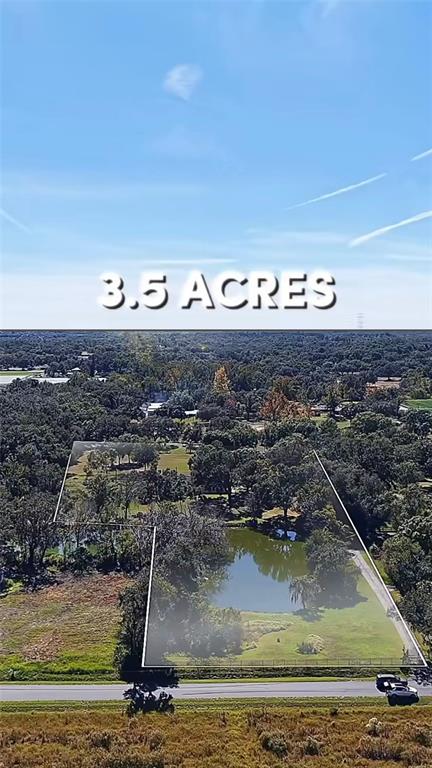 2506 Hawk Griffin Road Plant City, FL 33565 - Photo 4 of 54