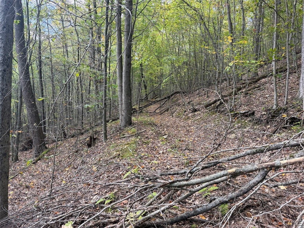 Bent Dipper Road Ceres, NY 14721 - Photo 22 of 27 Gallery Image 22