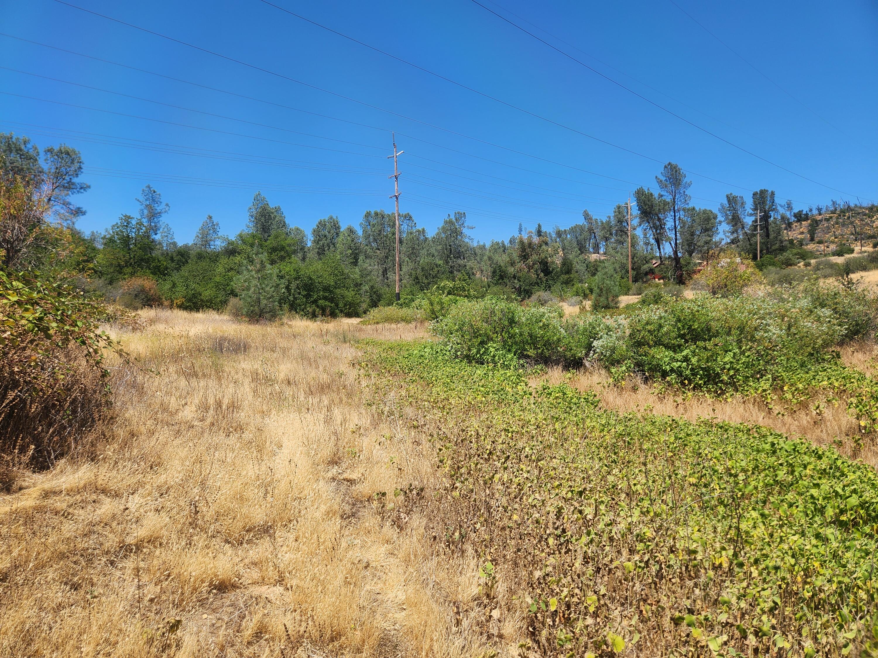 a view of a field with trees in the background