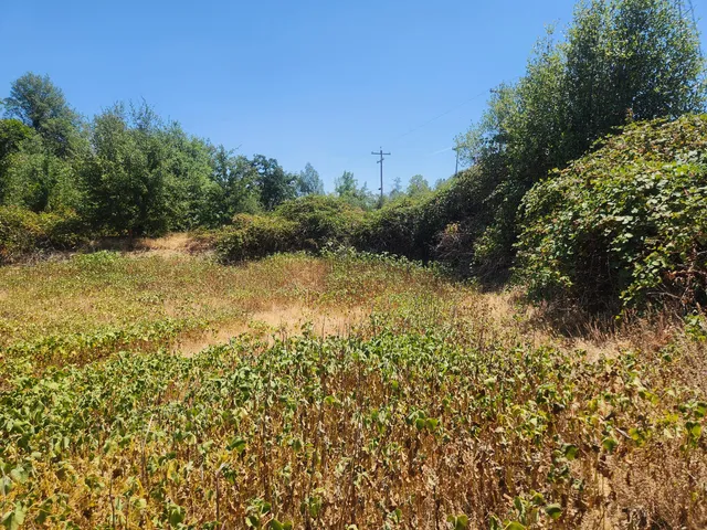 a view of a lake with a house in the background