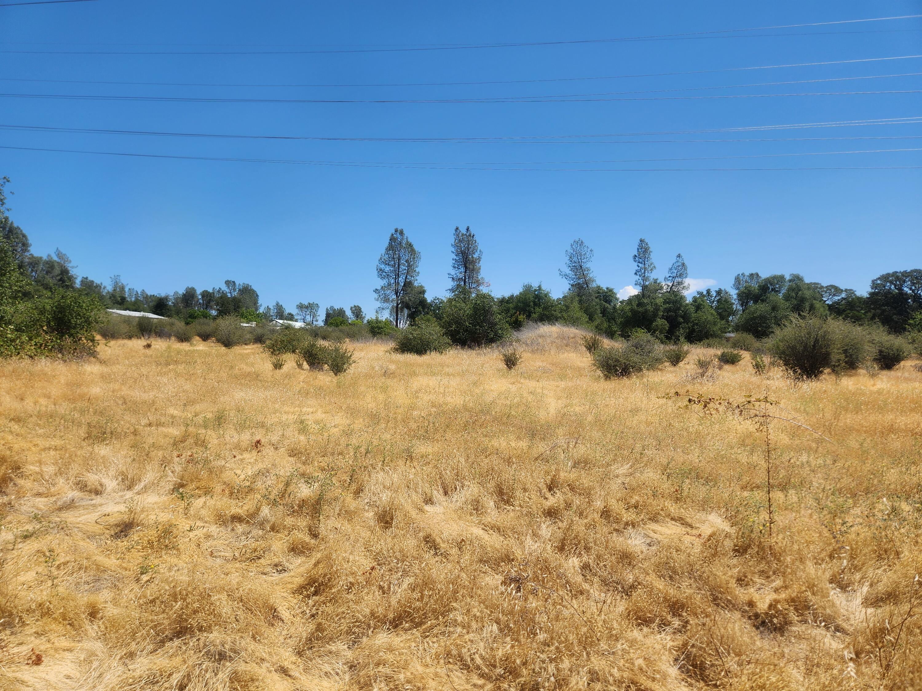 Thompson Lane Redding, CA 96001 - Photo 5 of 6 a view of a yard