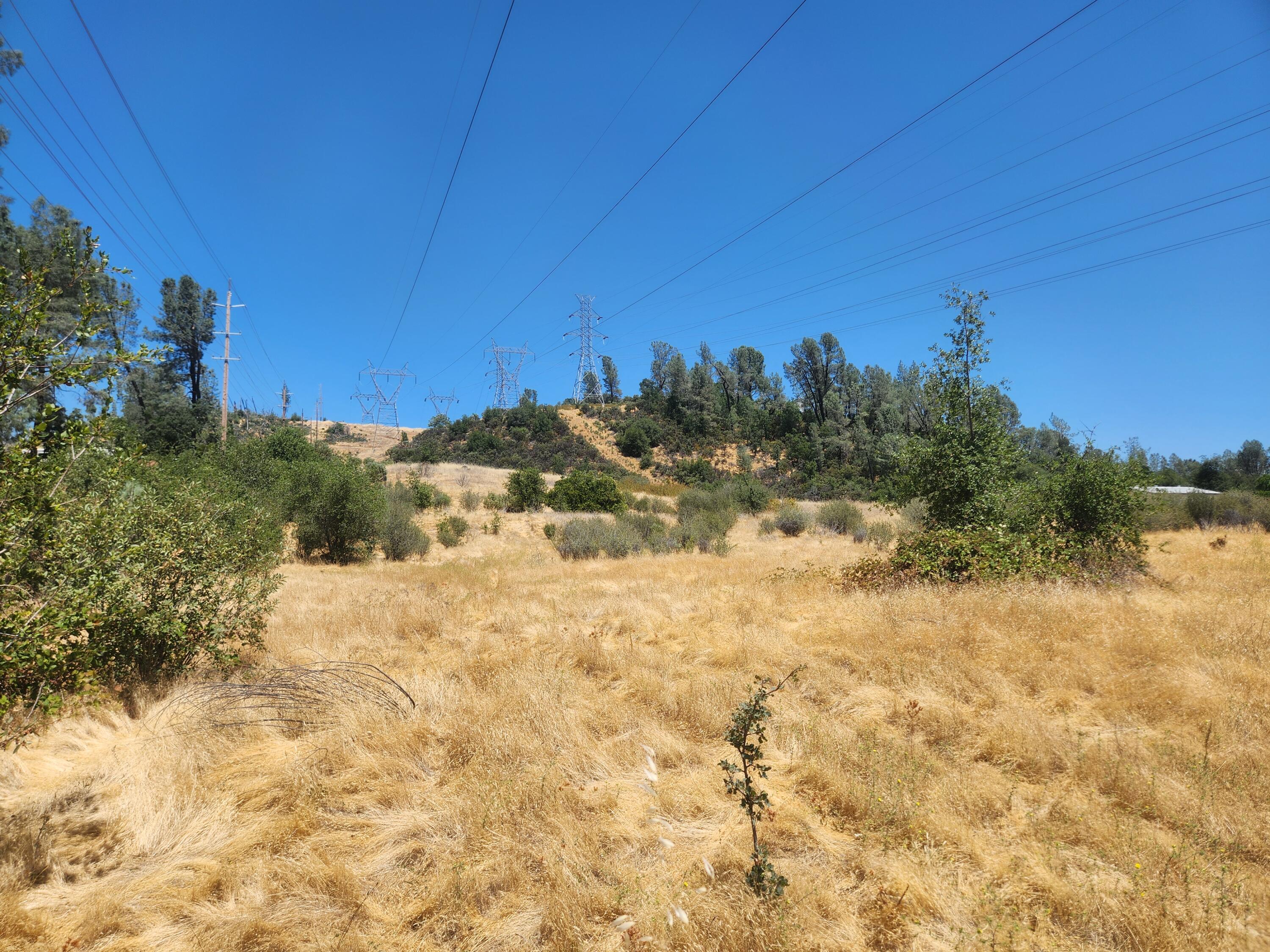 Thompson Lane Redding, CA 96001 - Photo 6 of 6 a view of a dry yard with trees