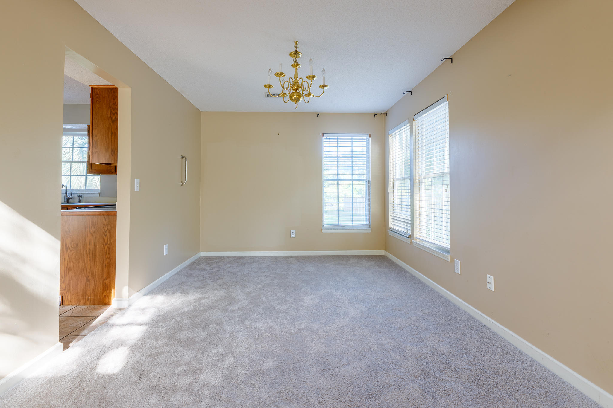 386 Jardinere Walk Mount Pleasant, SC 29464 - Photo 5 of 19 386 Jardinere Walk (12 of 24)