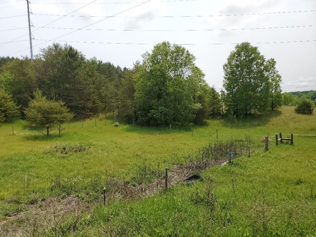 11377 West 16 Road Mesick, MI 49668 - Photo 10 of 13