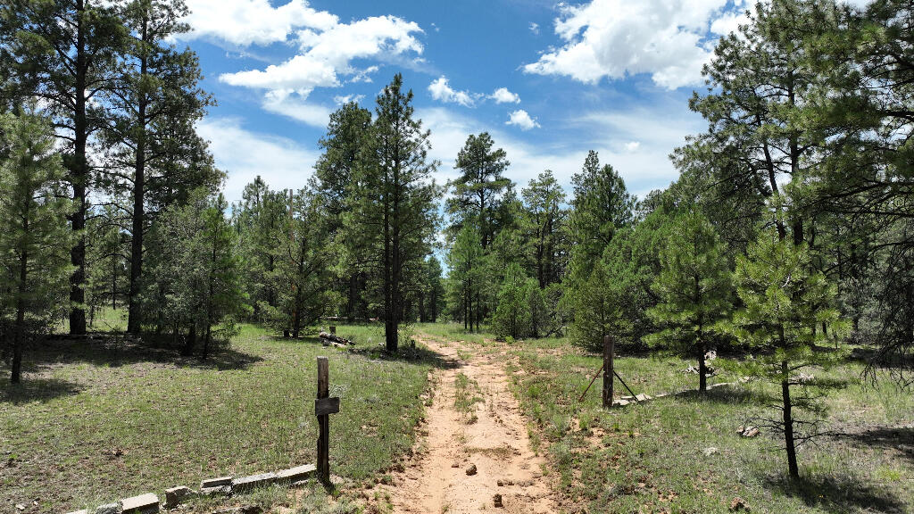 131 Cinder Cone Road Grants, NM 87020 - Photo 1 of 1 Gallery Image 1