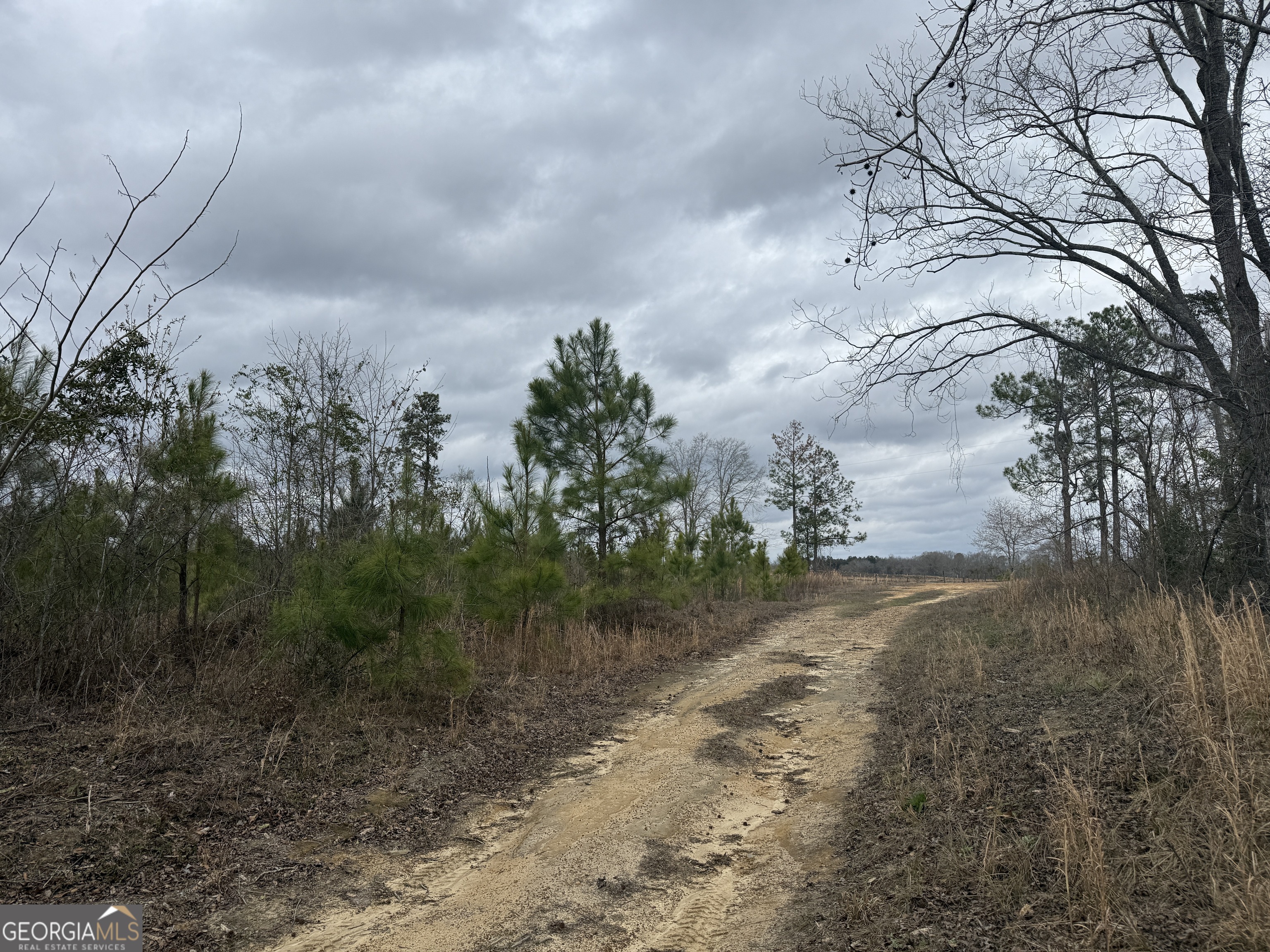0 Snowhill Church Road Cadwell, GA 31009 - Photo 8 of 12
