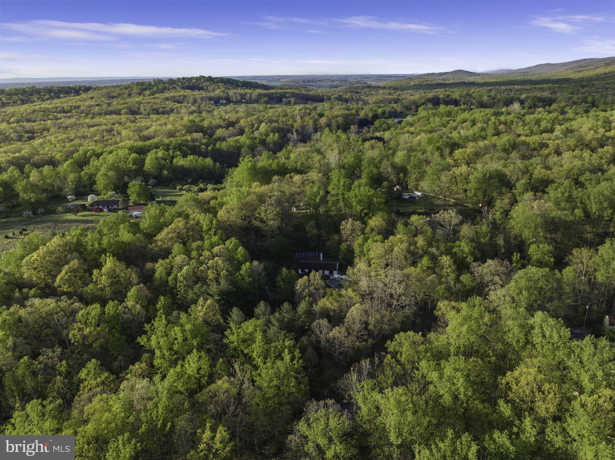 360 Ebenezer Road Bluemont, VA 20135 - Photo 30 of 35 Gallery Image 30