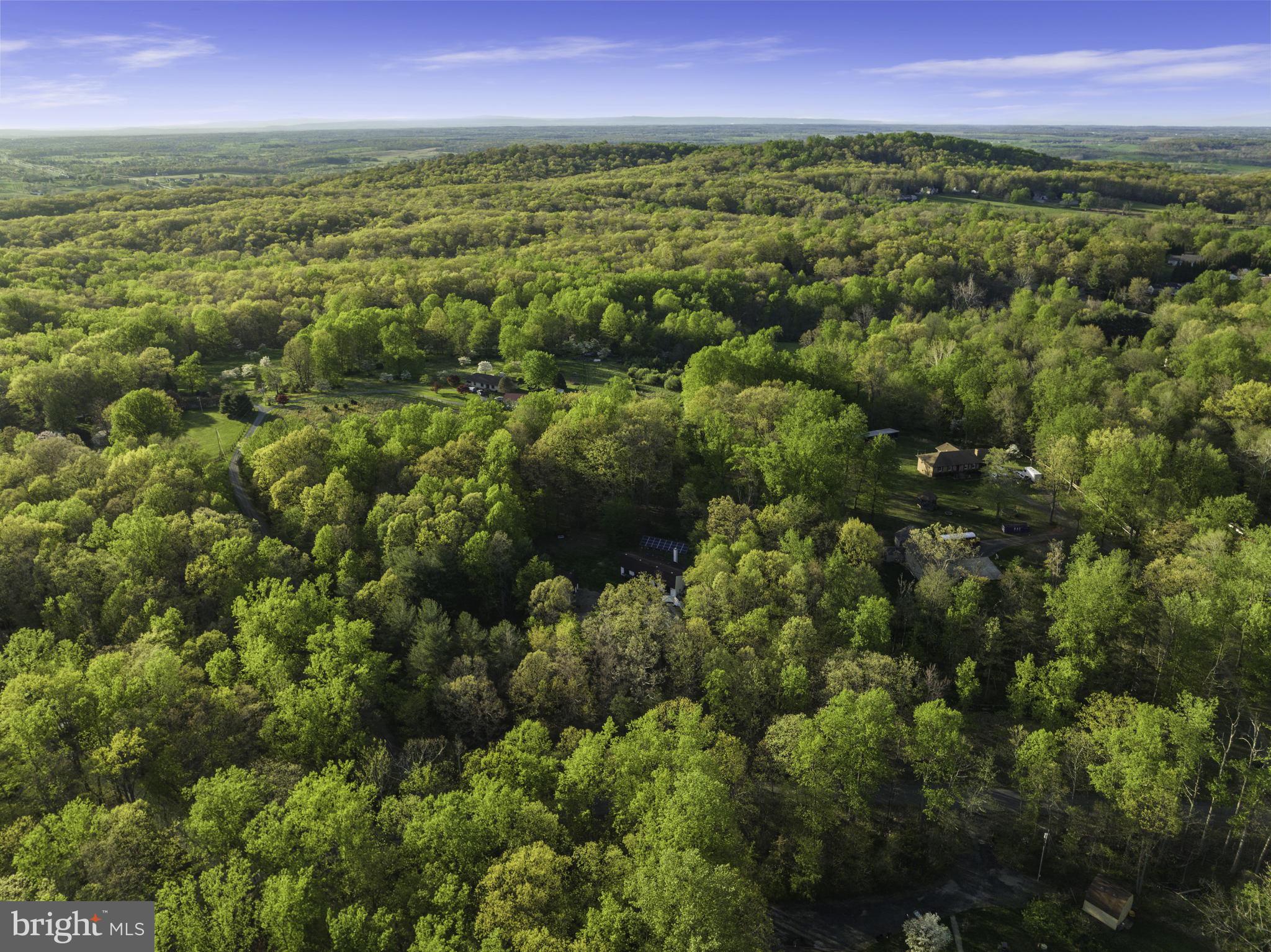 360 Ebenezer Road Bluemont, VA 20135 - Photo 31 of 35 Gallery Image 31