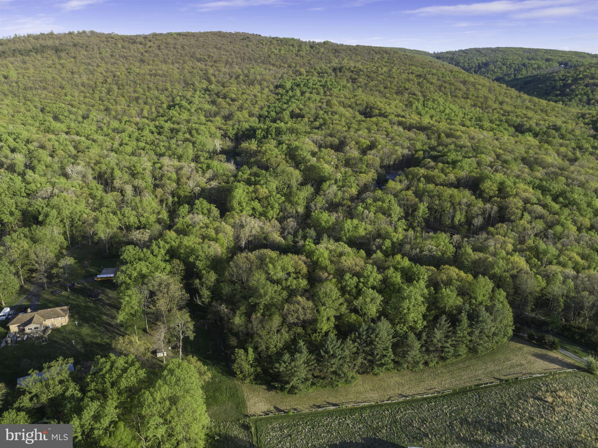 360 Ebenezer Road Bluemont, VA 20135 - Photo 34 of 35 Gallery Image 34