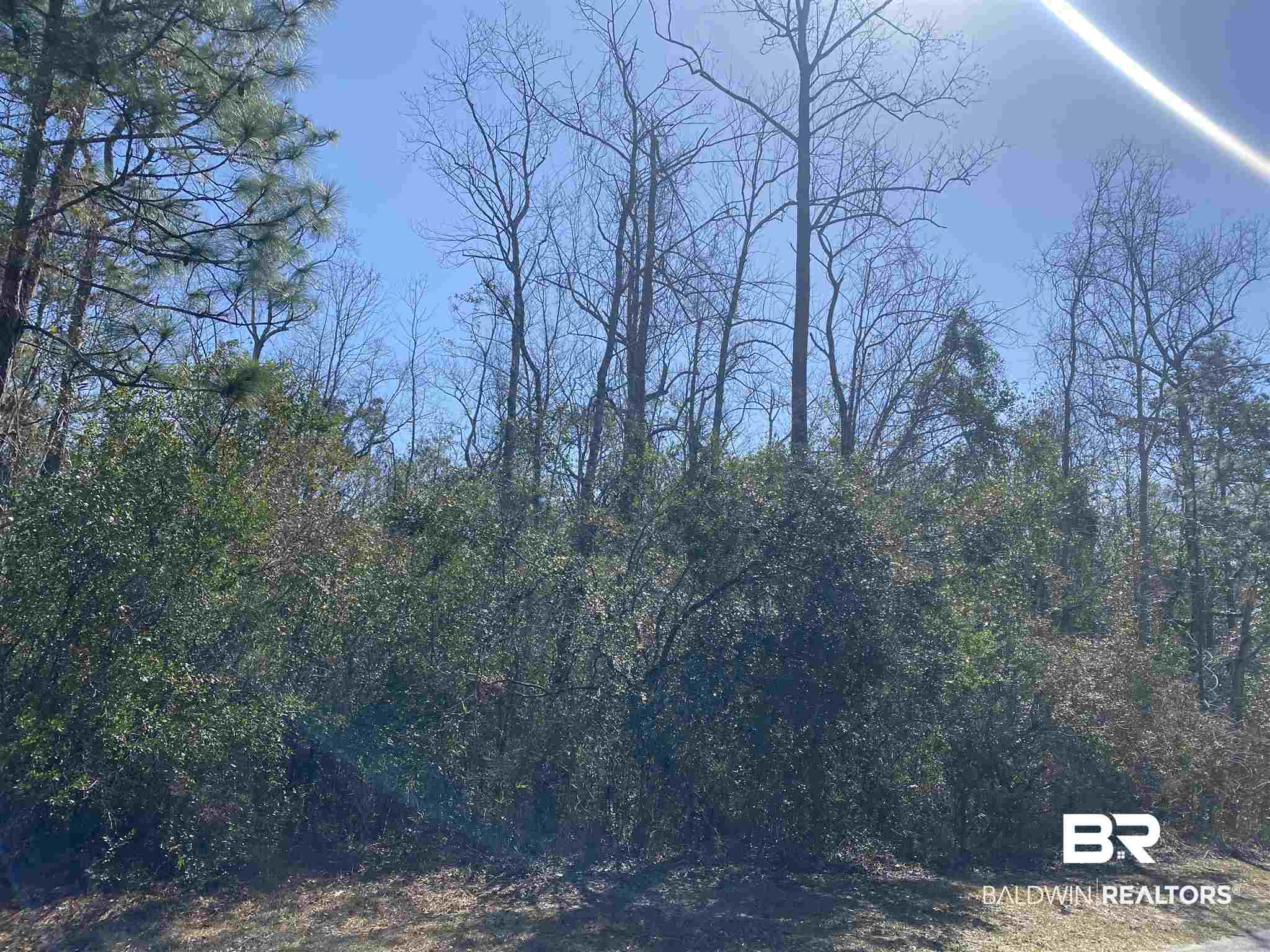 Timber Ridge Drive Loxley, AL 36551 - Photo 11 of 11