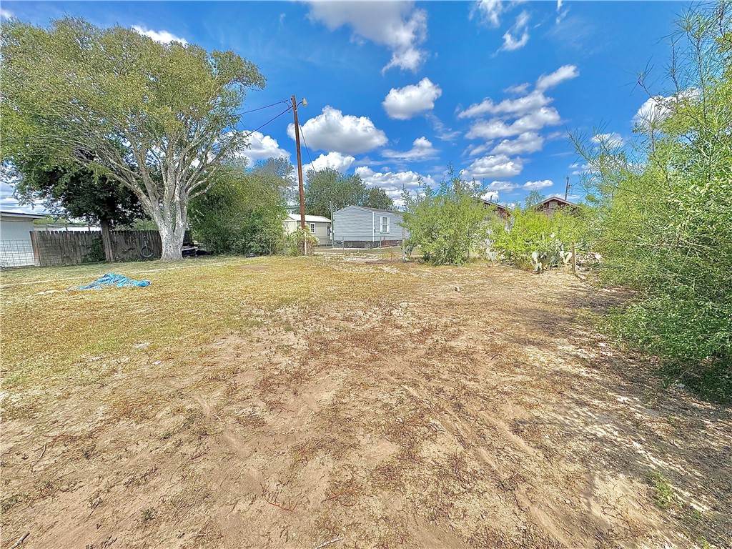 604 East Magnolia Street Freer, TX 78357 - Photo 4 of 17 a view of a yard with a house