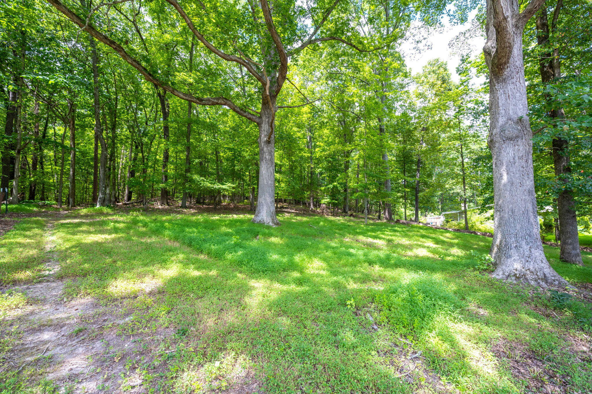 9986 Forest Drive Collegedale, TN 37363 - Photo 32 of 32 32-web-or-mls-DSC_9717