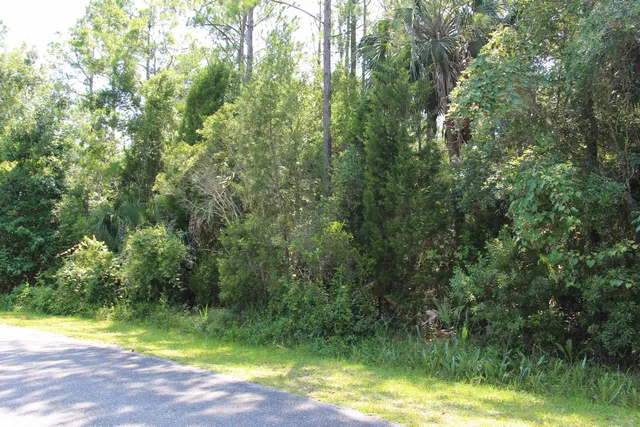 $75,000 | Lot 1-block Lot 1-block A Hobbs Way Street, Crawfordville, FL 32327