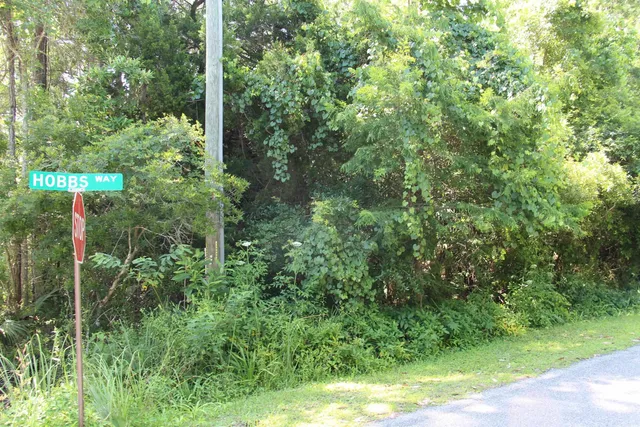 $75,000 | Lot 1-block Lot 1-block A Hobbs Way Street, Crawfordville, FL 32327