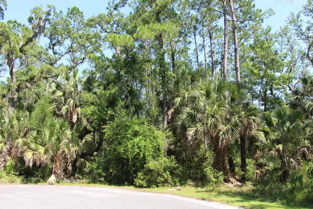 $75,000 | Lot 1-block Lot 1-block A Hobbs Way Street, Crawfordville, FL 32327