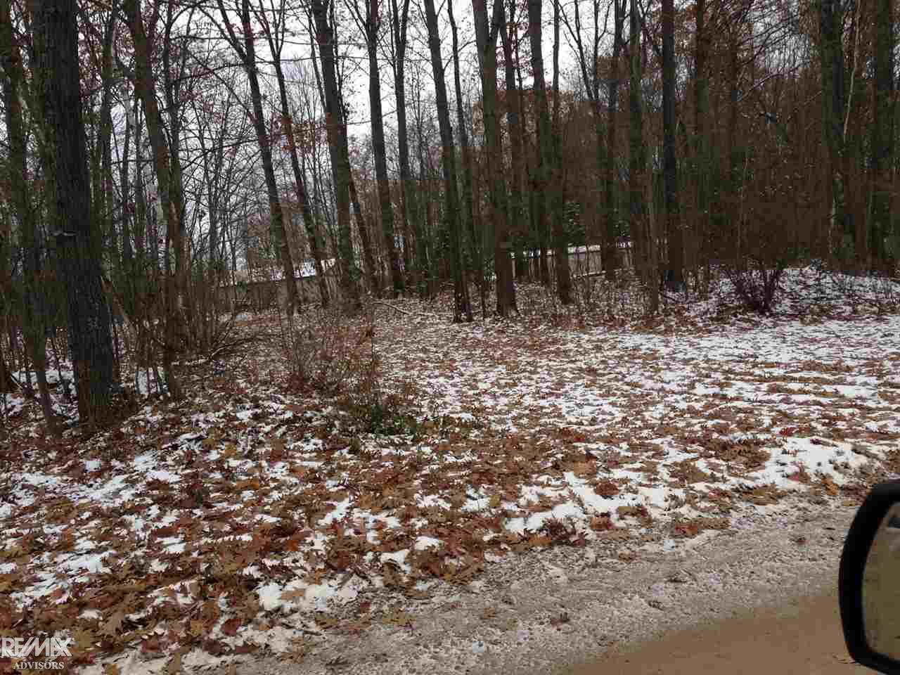 1651 South Old State Road Harrison, MI 48625 - Photo 13 of 16