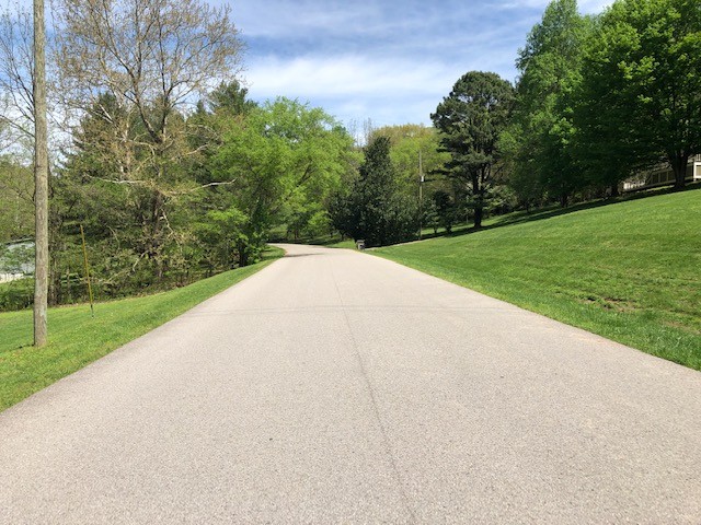 758 High Point Ridge Road Franklin, TN 37069 - Photo 25 of 28 a view of a yard with a house
