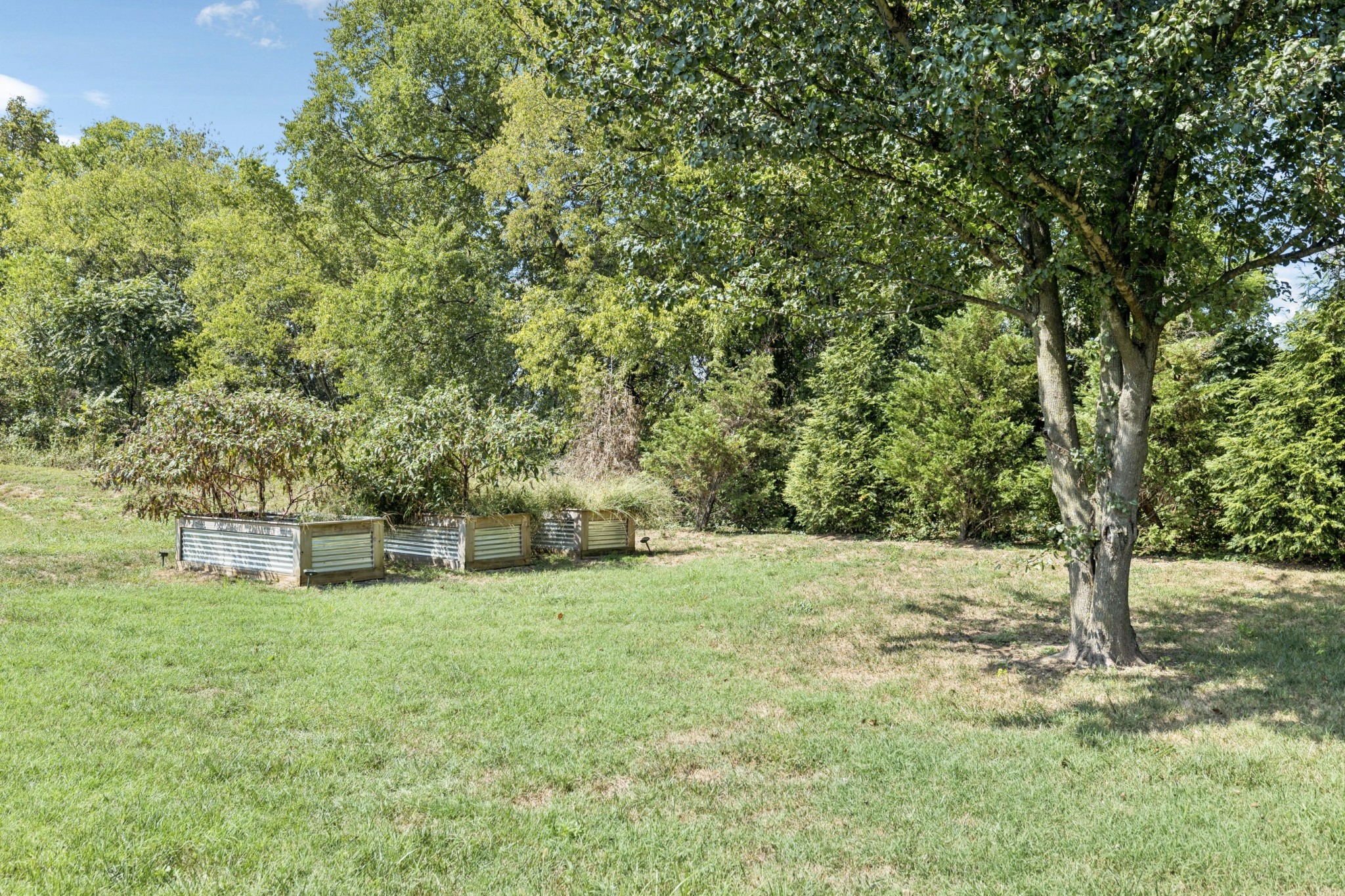 5012 Toll Rd Court Thompson's Station, TN 37179 - Photo 80 of 95