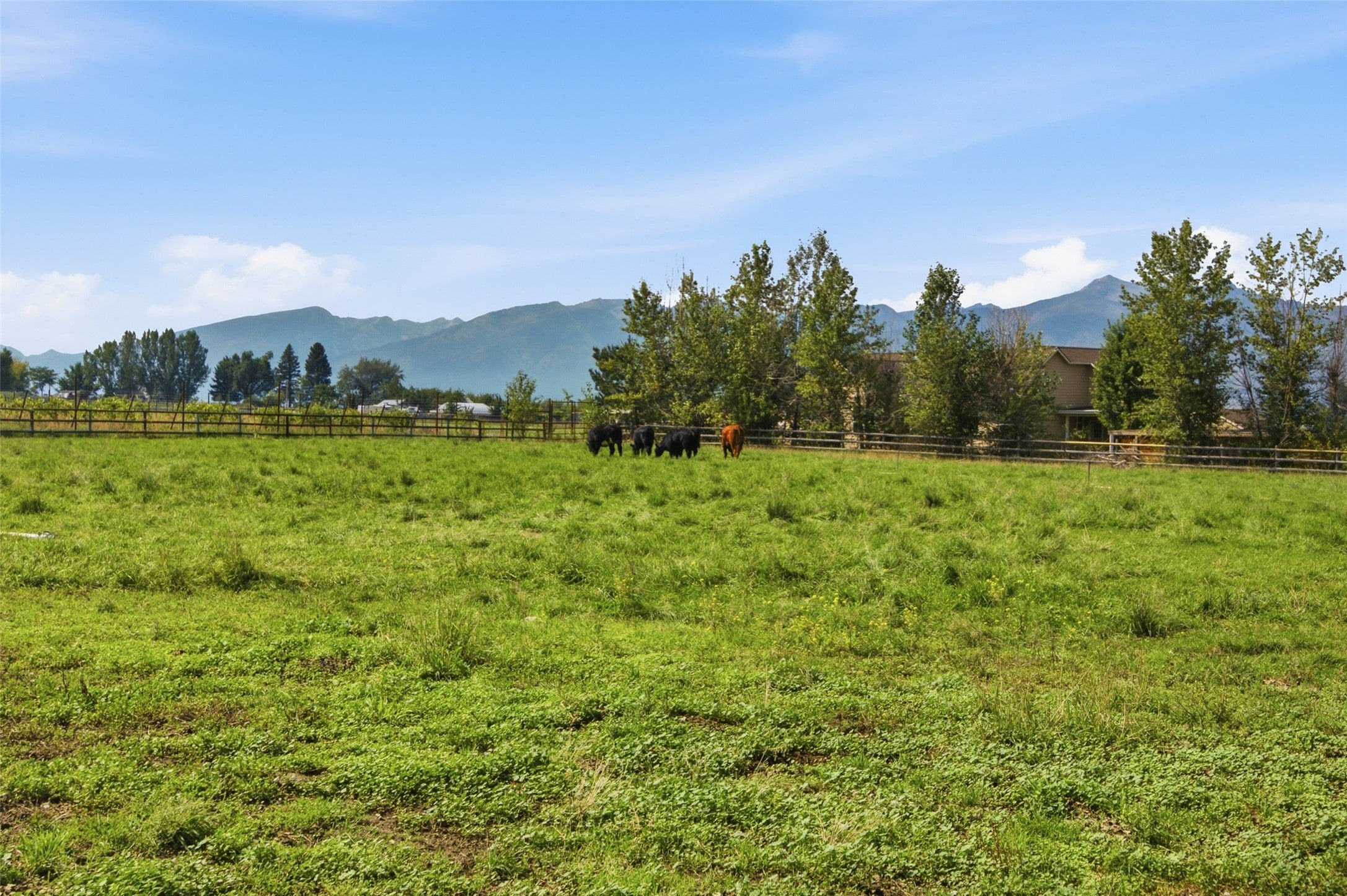 1649 Mountain View Orchard Road Corvallis, MT 59828 - Photo 81 of 89 Gallery Image 81