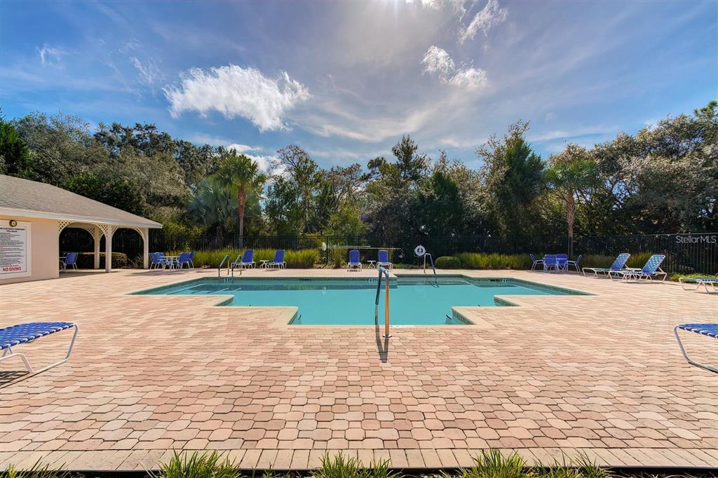 15706 Stable Run Drive Spring Hill, FL 34610 - Photo 3 of 40 a view of a swimming pool with a yard