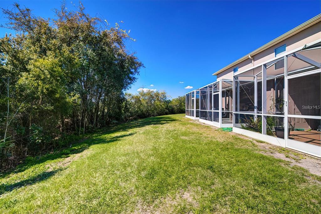 15706 Stable Run Drive Spring Hill, FL 34610 - Photo 39 of 40 a view of backyard with green space